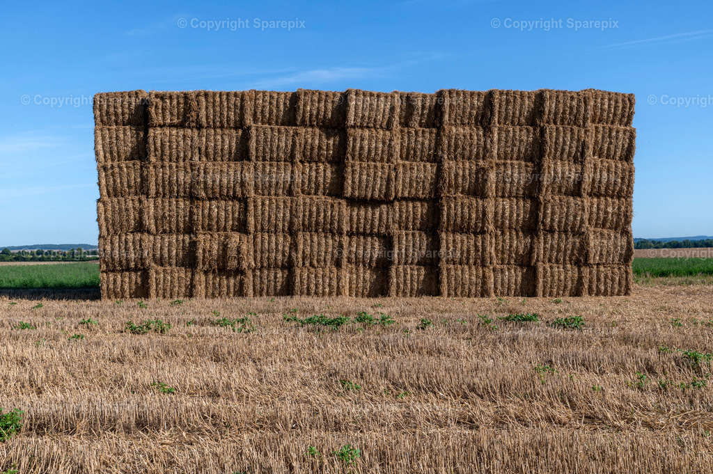 CAR_Agri_Stubblefield20 | Camera height 1,30m - light 4/40° - Realisiert mit Pictrs.com
