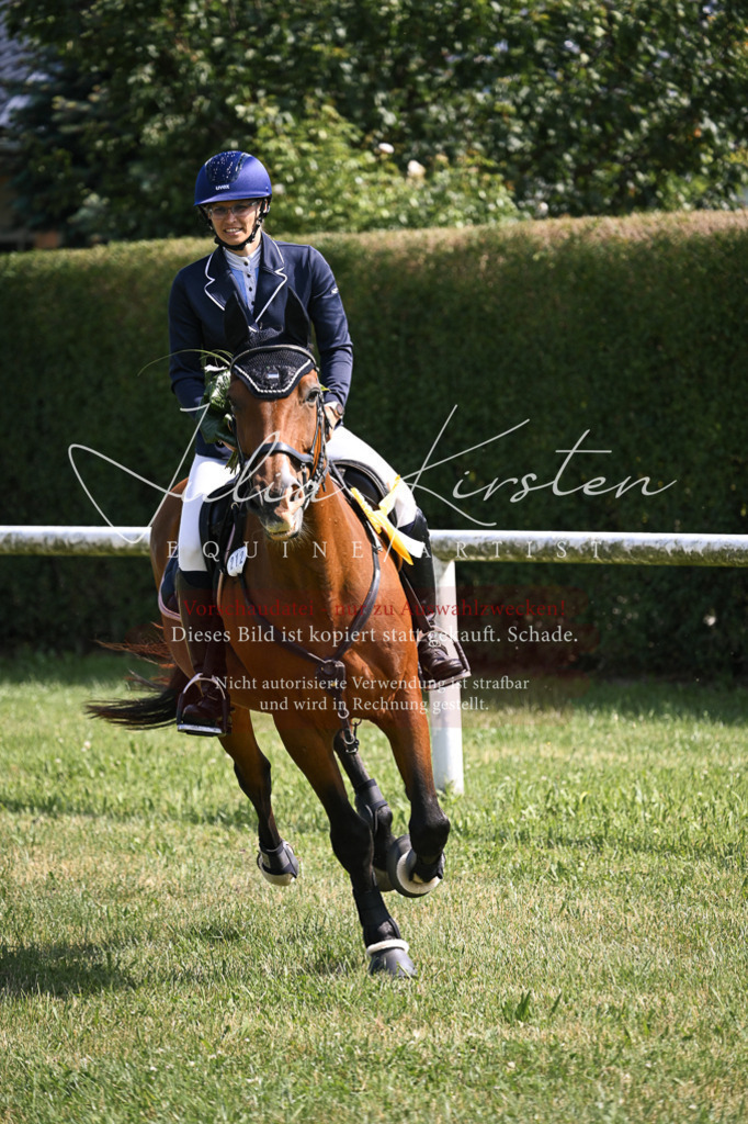 DSC_0719 | Pferde- und Turnierfotografie in Westsachsen. Pferdeportraits, Auftragszeichnungen und intuitive Kunst.
