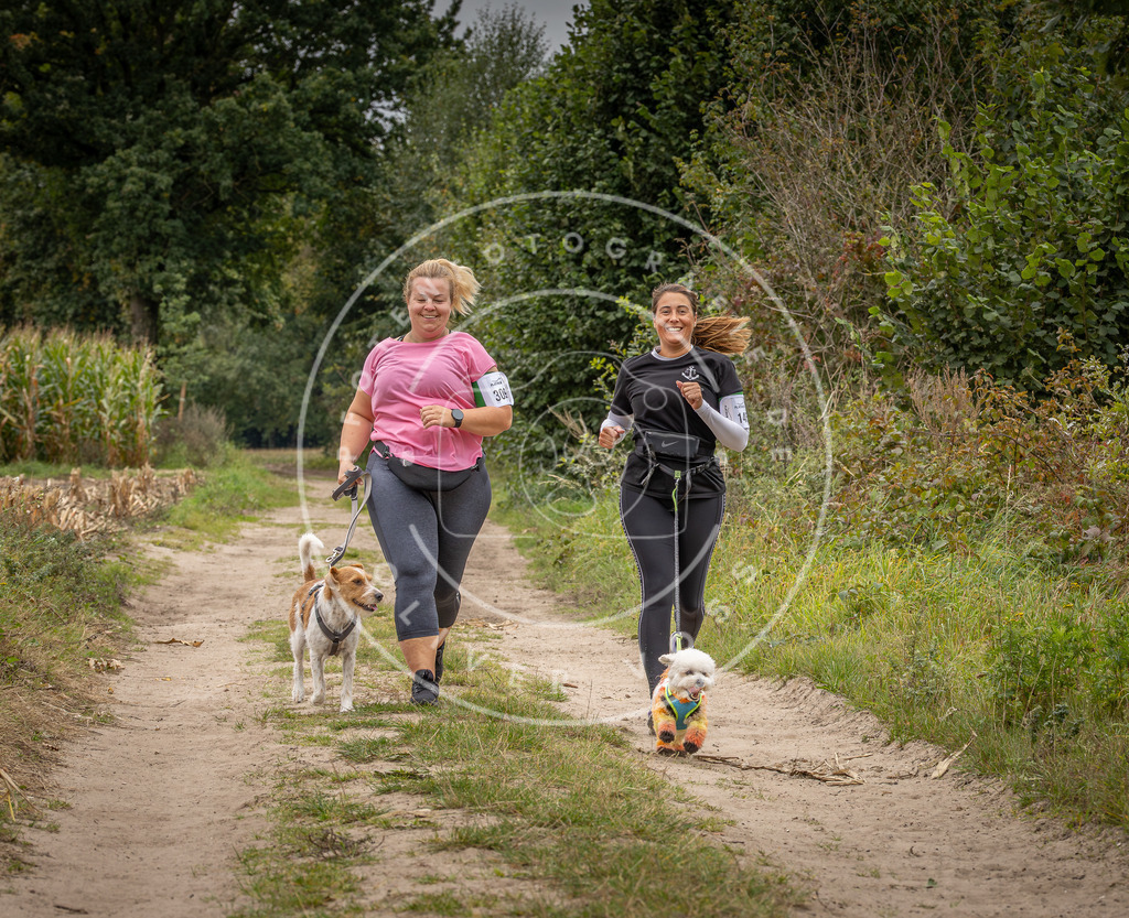 Pfotenfotografie_DV3A7082 | Hundefotografie, Tierfotograf, Pfotenfotografie, Fotoshooting Hund, Hunde Portrait, Hundesport, Hundeportraits, Heideshooting, Hunde, Sportfotograf, Hundefotograf, Turnierhundsport, THS,  - Realisiert mit Pictrs.com
