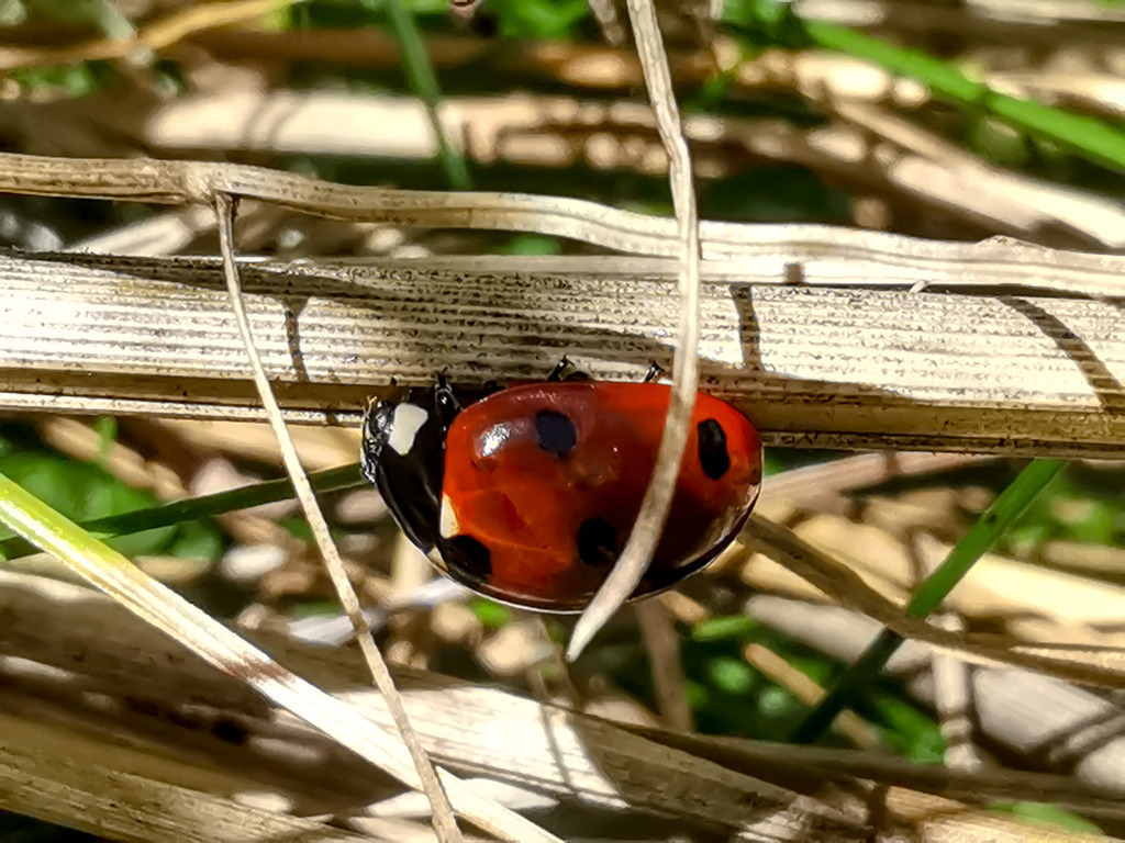 PSX_20230902_000601 | mtkfoto_ - Realisiert mit Pictrs.com