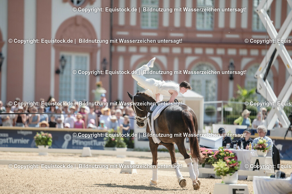 20230528_Voltigieren_NASPA_0092 | equistock