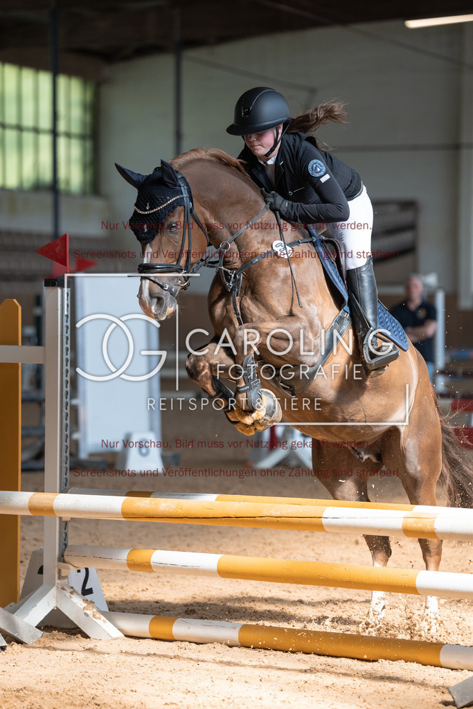 DSC01074 | Reitturnier_Göppingen_April_2026, emma_sauter, crown_copyright