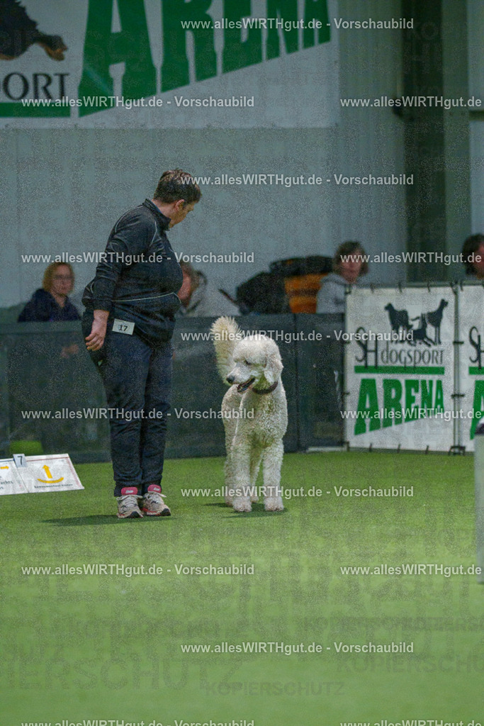 7R505537 | Professionelle Tierfotografie in Mönchengladbach von Daniel Wirth (allesWIRTHgut). Liebevolle & natürliche Bilder von Hunden & Katzen für unvergessliche Erinnerungen.