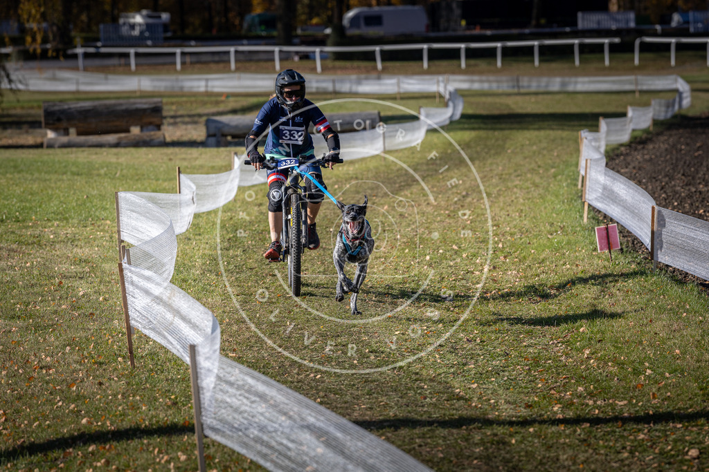 CaniXpix_DV3A6786 | Hundefotografie, Tierfotograf, Pfotenfotografie, Fotoshooting Hund, Hunde Portrait, Hundesport, Hundeportraits, Heideshooting, Hunde, Sportfotograf, Hundefotograf, Turnierhundsport, THS,  - Realisiert mit Pictrs.com