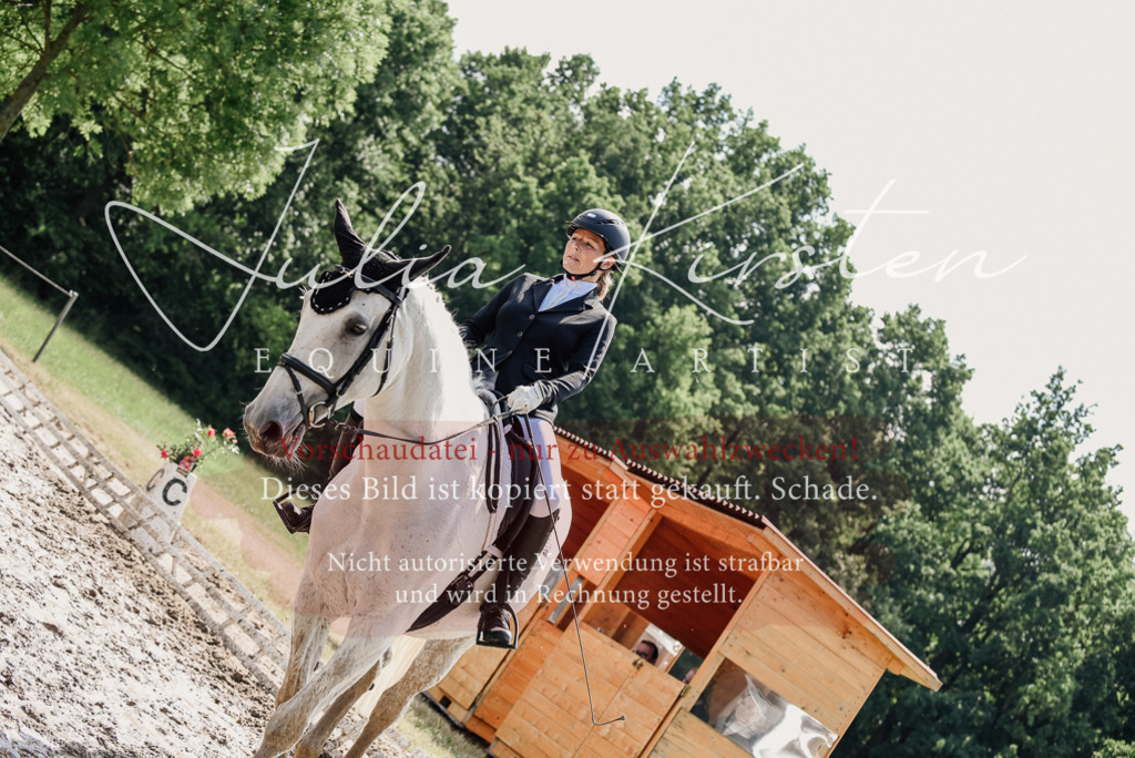 DSC_0386 | Pferde- und Turnierfotografie in Westsachsen. Pferdeportraits, Auftragszeichnungen und intuitive Kunst.