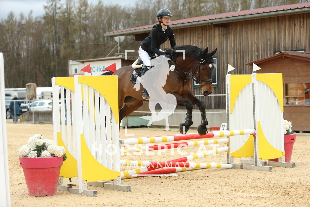 DL2Q2091 | Willkommen bei Brunnmayr - Design & Fotografie – Ihrem Spezialisten für Reitturniere und Pferdeveranstaltungen in Oberösterreich, Salzburg und Bayern! Seit über 17 Jahren sind wir leidenschaftlich dabei.