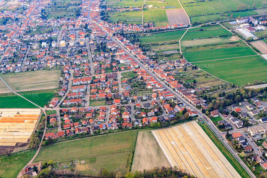 Luftbild: Rennbahnstr in Haßloch im Bundesland Rheinland-Pfalz in Deutschland. Foto: IMG_49889.jpg vom 13.04.2012 durch Werner Riehm/FLY-FOTO.de