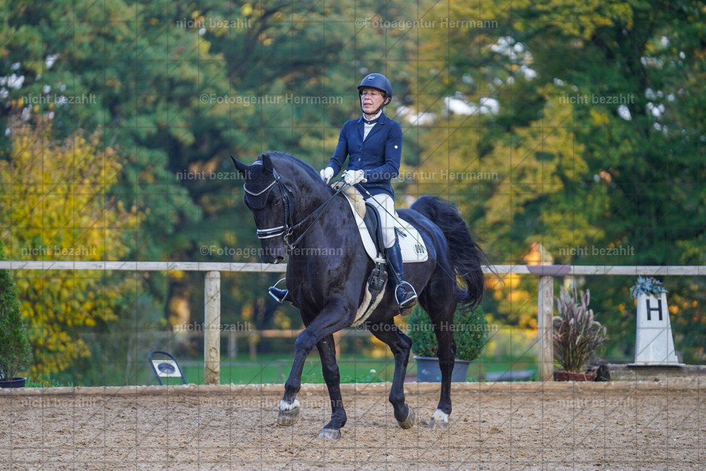 20221007-FAH00552 | Diessen am Ammersee, 2022, Dressur- und Springturnier, Reitsportbilder, Turnierfotografen Bayern, Pferdefotografen, Fotoagentur Herrmann, Turnierbilder