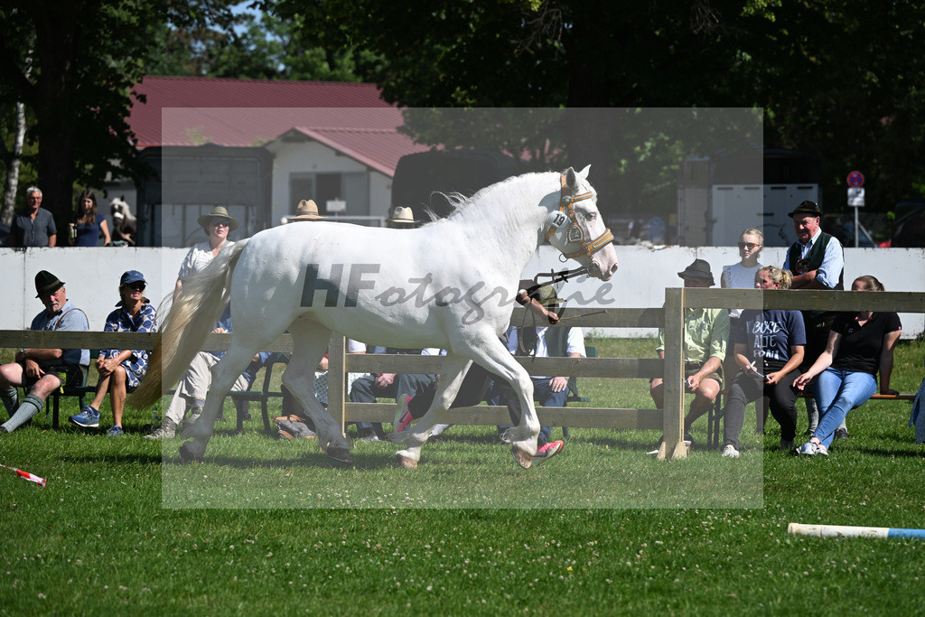 Kat-Nr. 19 Pfingsrose v. Vale_Glonecker-Esmueller u Oltmanns_18250324 | hf-fotografie - Realisiert mit Pictrs.com