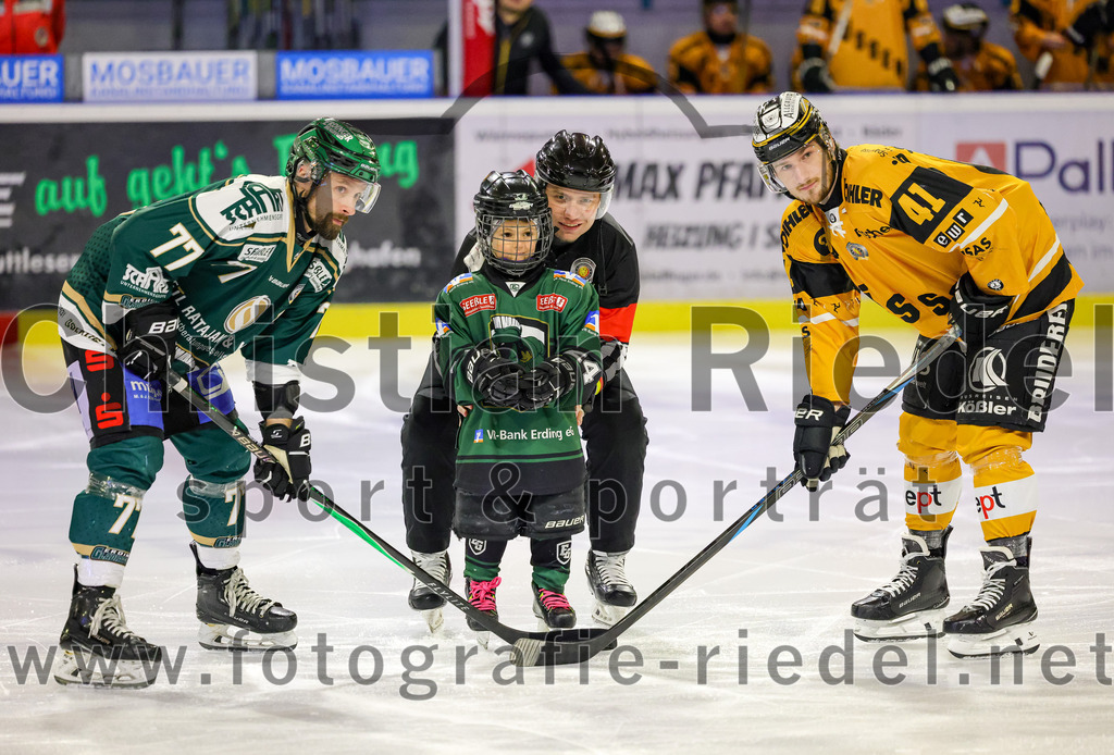 2026-02-27_041_TSV_Erding_gegen_EV_Fuessen | Erding, Deutschland, 27.02.2026:Eishockey, Oberliga Süd 2025 / 2026, 51. Spieltag, TSV Erding gegen EV Füssen, Endergebnis: 2:4Philipp Michl (Erding Gladiators, #77), Marek Slavik (EV Füssen, #41)Foto: Christian Riedel / fotografie-riedel.net