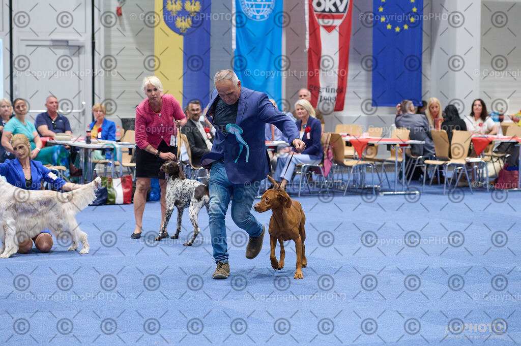 202406_ÖKV-IHA-Tulln24_DSC_3141 | proPHOTO - Realisiert mit Pictrs.com