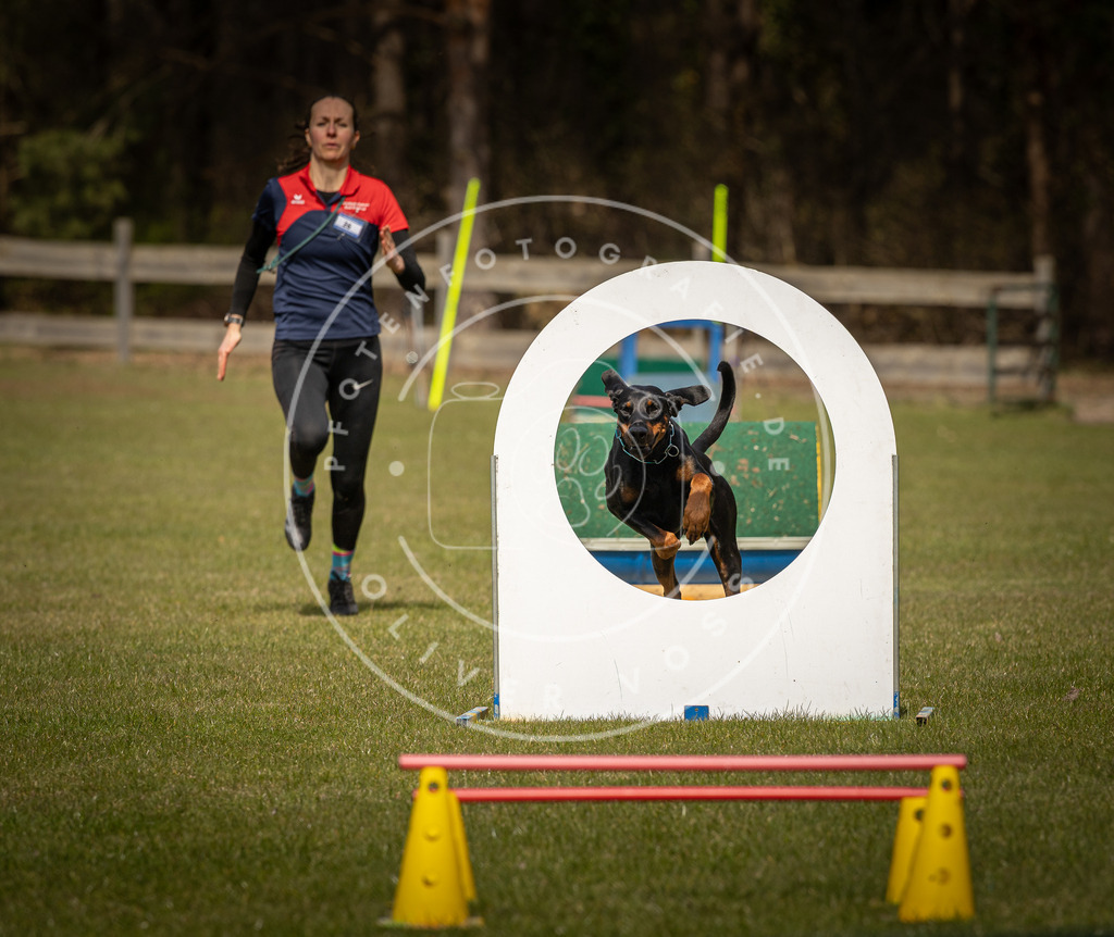 Pfotenfotografie_DV3A5625 | Hundefotografie, Tierfotograf, Pfotenfotografie, Fotoshooting Hund, Hunde Portrait, Hundesport, Hundeportraits, Heideshooting, Hunde, Sportfotograf, Hundefotograf, Turnierhundsport, THS,  - Realisiert mit Pictrs.com