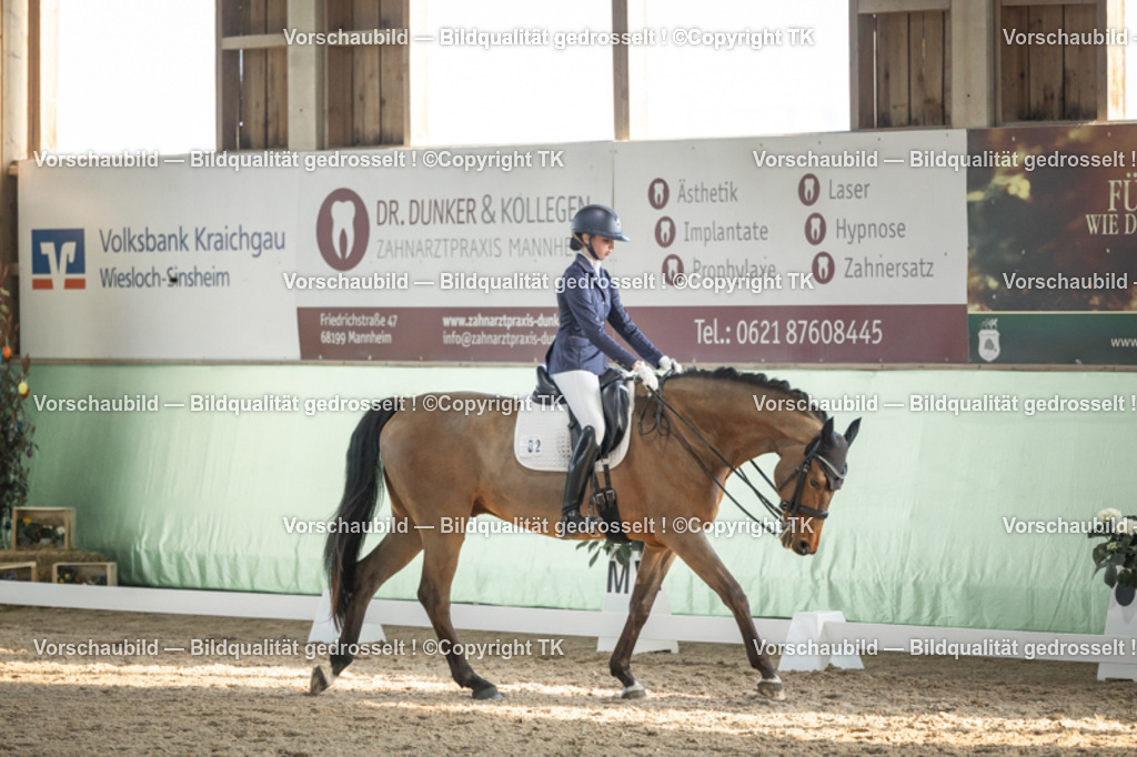 _D5A3203 | Emotionale Pferde- & People-Fotografie rund um Heidelberg, Leimen & Umgebung. Natürliche Fotos von Pferd, Mensch & Familie. Jetzt Termin sichern!