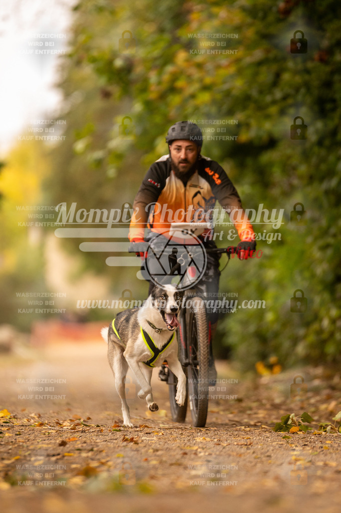 CDLBDB_14_10_2023_Samedi-120 | PayLife