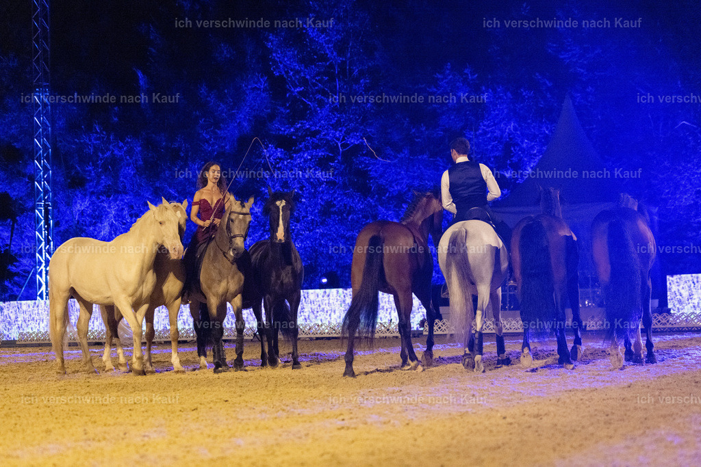 FHClassics-338 | working equitationturnier fotograf videograf stoibphotography marixx film working equitation deutschland reitsport turnierfotografie eventfotografie equestrian events