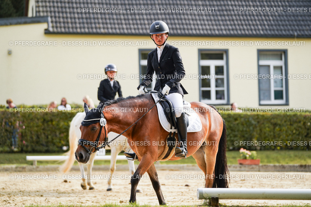 DSC04719 | Pferdegrafie