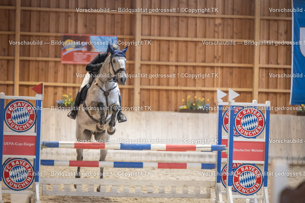 _D5A8731 | Emotionale Pferde- & People-Fotografie rund um Heidelberg, Leimen & Umgebung. Natürliche Fotos von Pferd, Mensch & Familie. Jetzt Termin sichern!