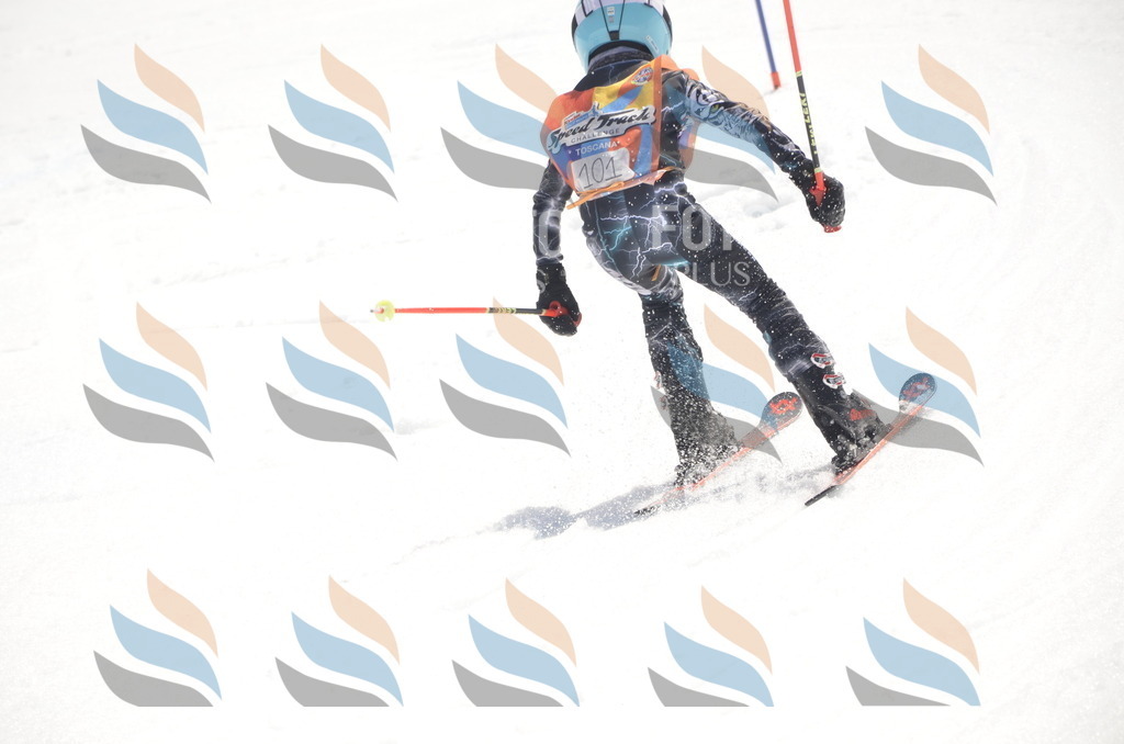 _ELE9382 | holidayphoto