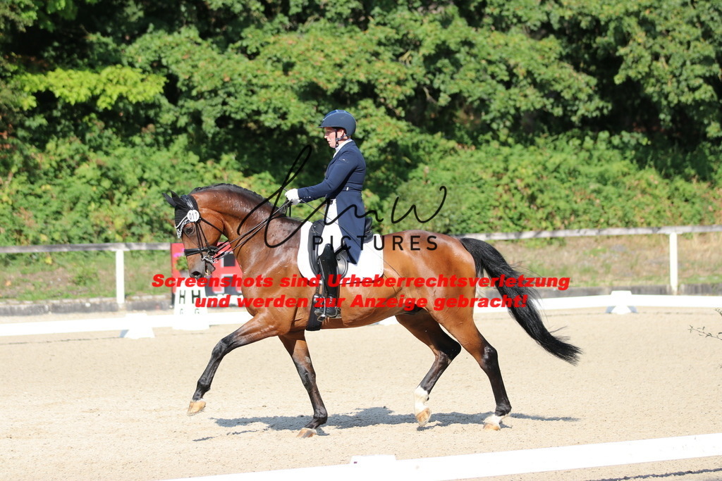 IMG_9150 | lmwpictures - Realisiert mit Pictrs.com