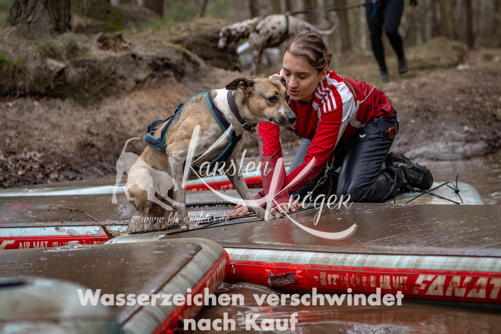 1232DSC_6984-2 | kk-dogfotos