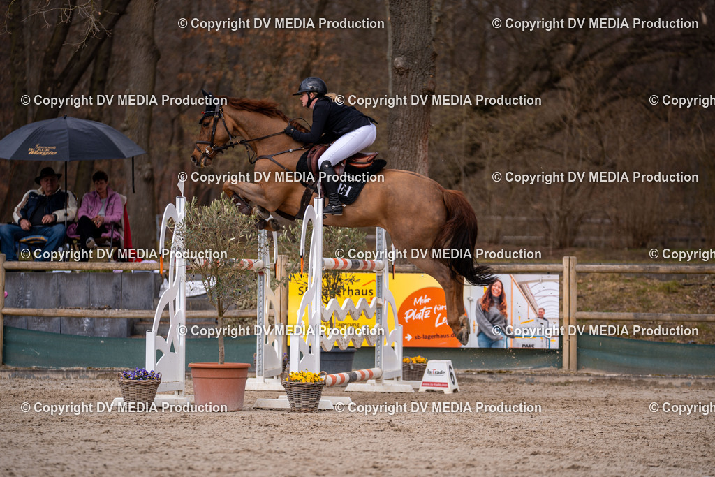 Kranichstein Tag 2-2132 | dv-media-shop - Realisiert mit Pictrs.com