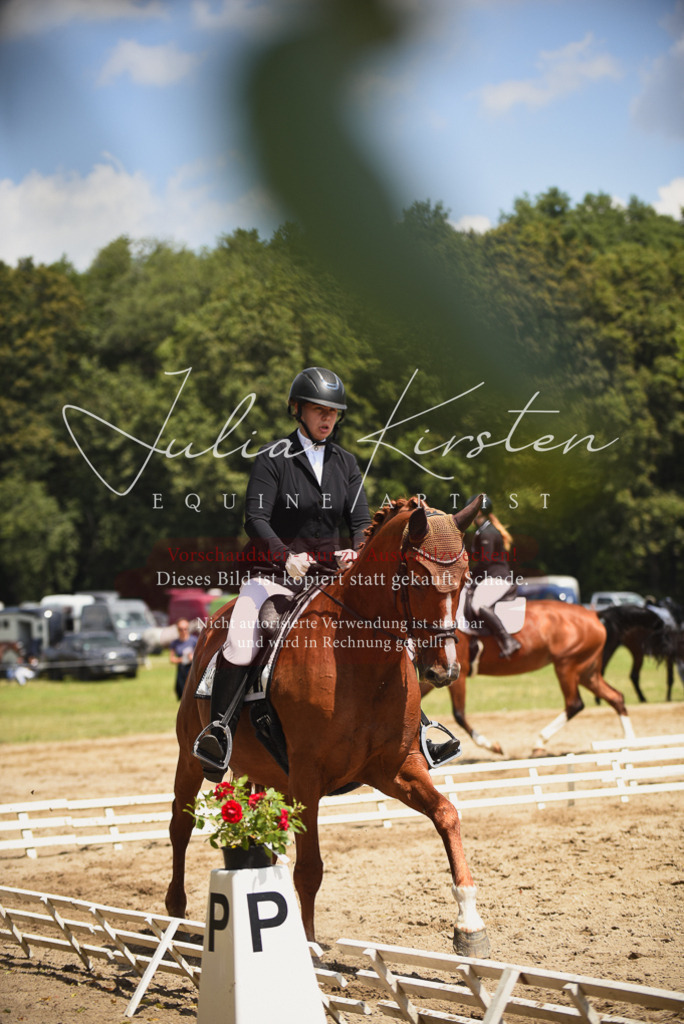 DSC_1184 | Pferde- und Turnierfotografie in Westsachsen. Pferdeportraits, Auftragszeichnungen und intuitive Kunst.