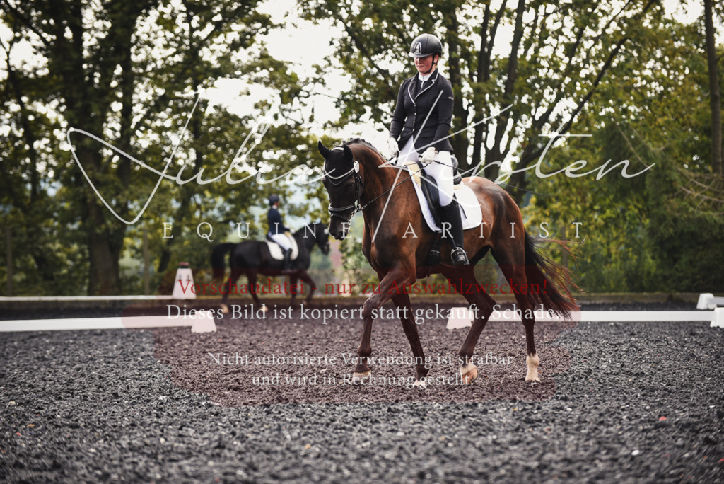 DSC_3726 | Pferde- und Turnierfotografie in Westsachsen. Pferdeportraits, Auftragszeichnungen und intuitive Kunst.