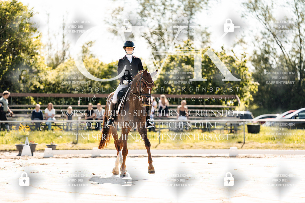 CK909046 | Turnierfotografie Pferdefotografie Trier Rheinland-Pfalz Pferdesport Reitsport Tierfotografie Sportfotografie Pferdevideo Pferdevideografie Equestrianvideography equestrianphotography  - Realisiert mit Pictrs.com