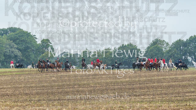 Jagd Perdoel_MarinaHewigMCH04089 | Fotografie, FotoArt, PferdesportArt, Pferdesportfotografie, Landschaftsfotografie, Reisefotografie, Reise, Pferde - Realisiert mit Pictrs.com