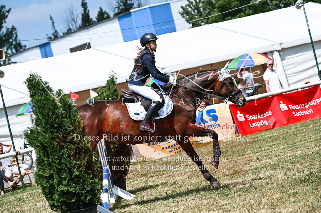 DSC_9591 | Pferde- und Turnierfotografie in Westsachsen. Pferdeportraits, Auftragszeichnungen und intuitive Kunst.