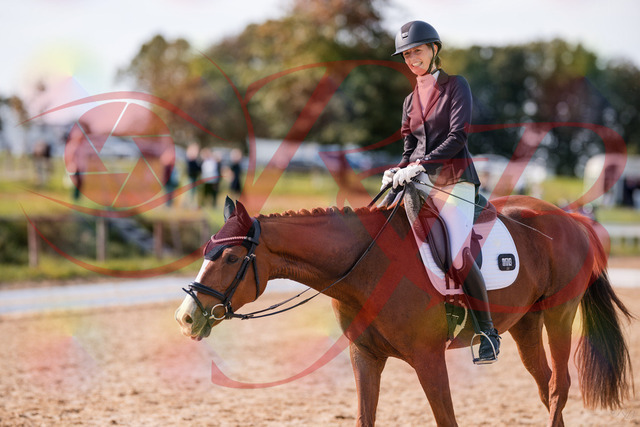 2026_10_03_Siefer-Hof_133323_Z81_92181359 | Professionelle Reitsport-, Turnier- und Eventfotografie von Robert Broda. Galerien mit ausgewählten und bearbeiteten Bildern direkt online ansehen und bestellen.