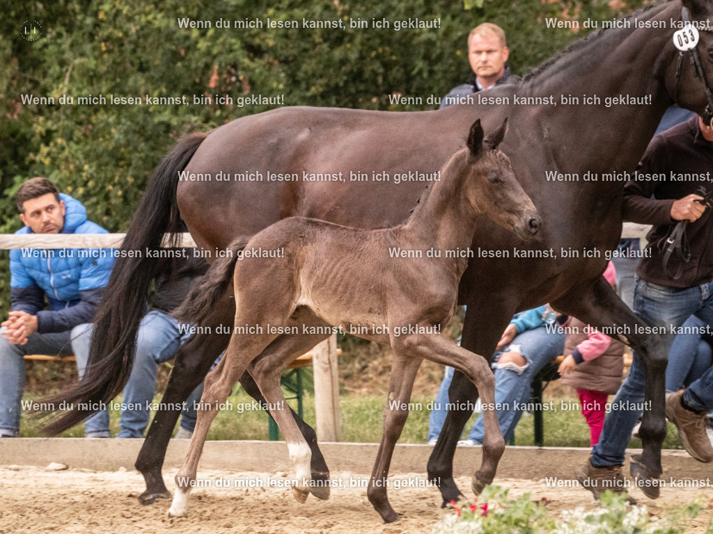 A10I5362 | photographylinaismer - Realisiert mit Pictrs.com