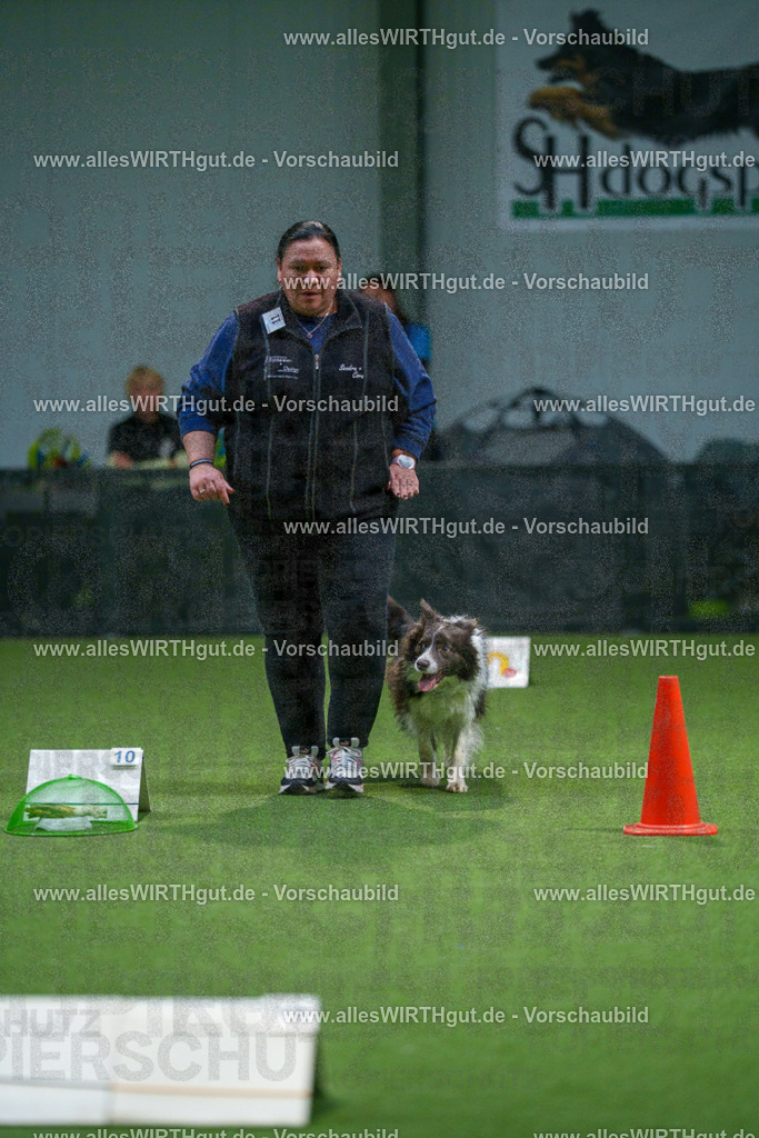 7R500258 | Professionelle Tierfotografie in Mönchengladbach von Daniel Wirth (allesWIRTHgut). Liebevolle & natürliche Bilder von Hunden & Katzen für unvergessliche Erinnerungen.