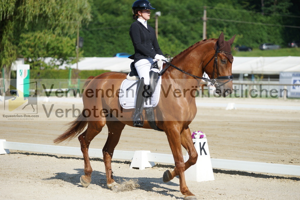 DSC03979 | equestrian-live-com