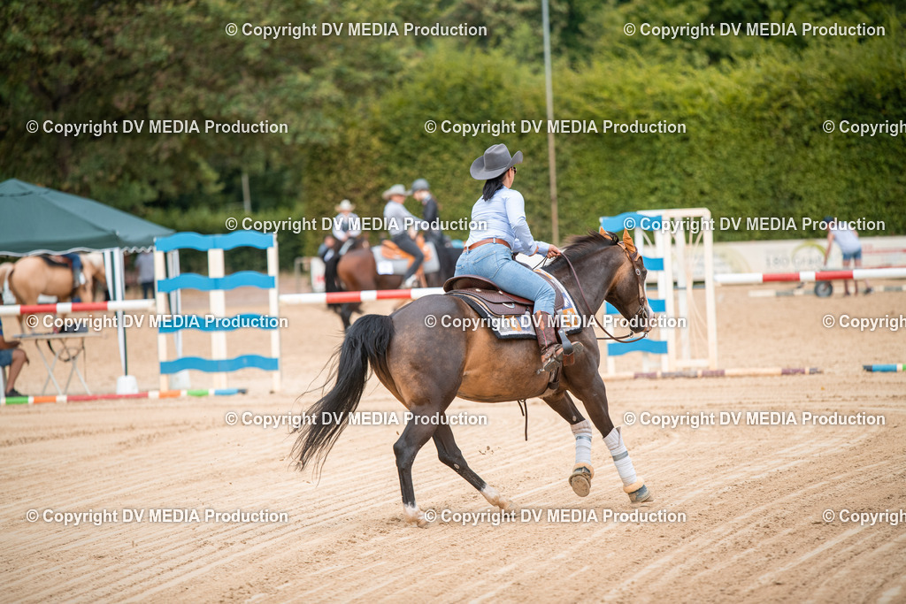 ZS2_8692 | dv-media-shop - Realisiert mit Pictrs.com