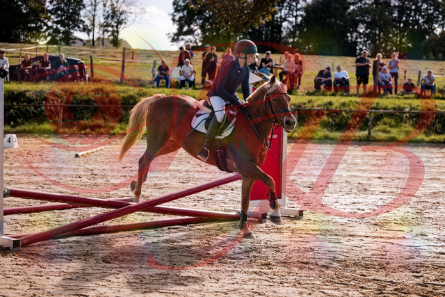 2026_10_03_Siefer-Hof_144650_Z81_22994376 | Professionelle Reitsport-, Turnier- und Eventfotografie von Robert Broda. Galerien mit ausgewählten und bearbeiteten Bildern direkt online ansehen und bestellen.