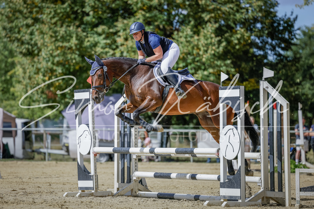 20250906-_3LI6074 | Tierfotografie Pferde, Hunde, Katzen, Haustiere.
Turnierfotografie Reitturniere, Reiten, Springreiten, Dressur in Hanau, dem Main-Kinzig-Kreis und dem Rhein-Main- Gebiet um Frankfurt