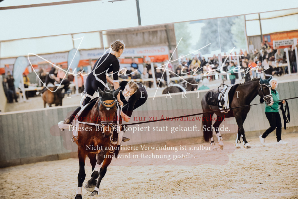 DSC_6914 | Pferde- und Turnierfotografie in Westsachsen. Pferdeportraits, Auftragszeichnungen und intuitive Kunst.