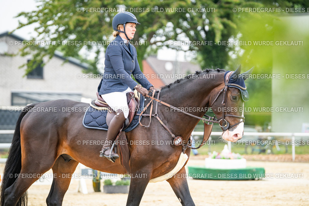 DSC00008 | Pferdegrafie