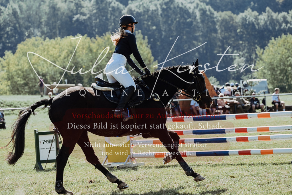 DSC_5770 | Pferde- und Turnierfotografie in Westsachsen. Pferdeportraits, Auftragszeichnungen und intuitive Kunst.