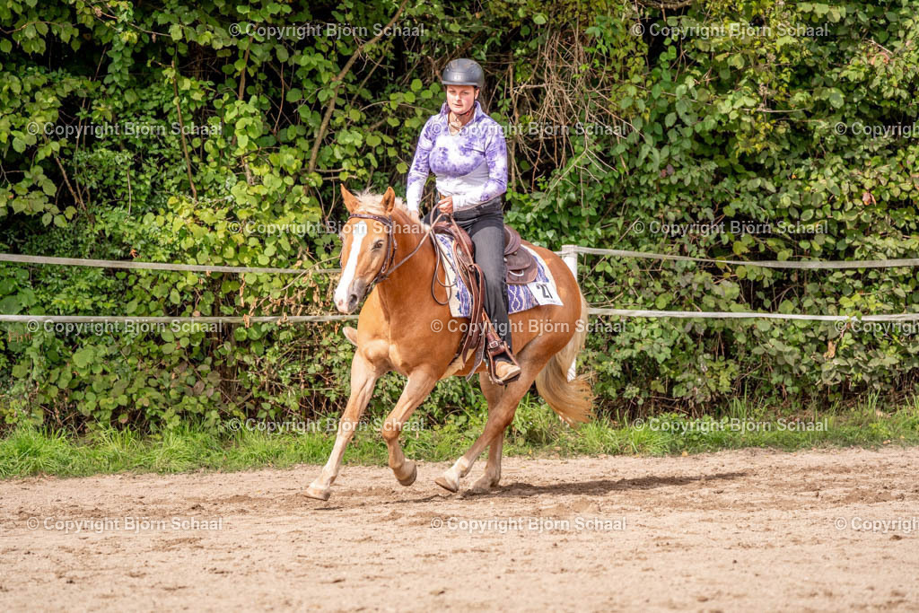 SAL03287 | BS-foto