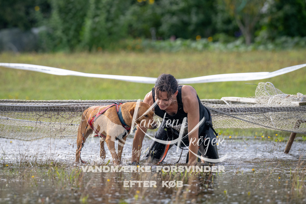 1114_ZZ92149 | kk-dogfotos