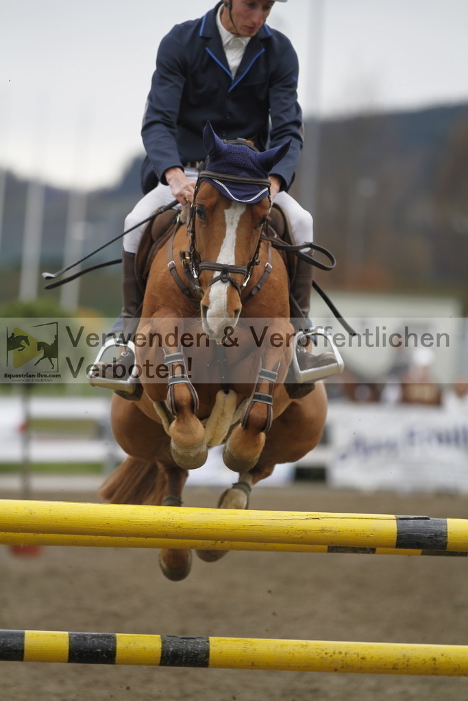 _MG_5980 | equestrian-live-com