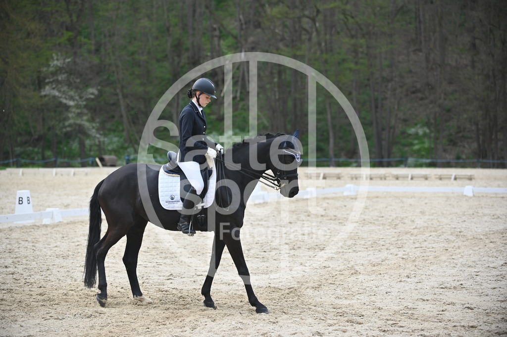 DSC_5241 | sattelsport - Realisiert mit Pictrs.com