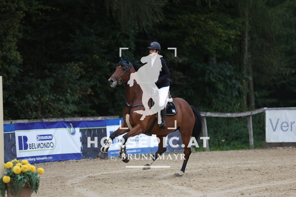 0P6A4904 | Willkommen bei Brunnmayr - Design & Fotografie – Ihrem Spezialisten für Reitturniere und Pferdeveranstaltungen in Oberösterreich, Salzburg und Bayern! Seit über 17 Jahren sind wir leidenschaftlich dabei.