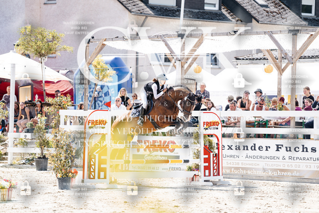 CK909171 | Turnierfotografie Pferdefotografie Trier Rheinland-Pfalz Pferdesport Reitsport Tierfotografie Sportfotografie Pferdevideo Pferdevideografie Equestrianvideography equestrianphotography  - Realisiert mit Pictrs.com