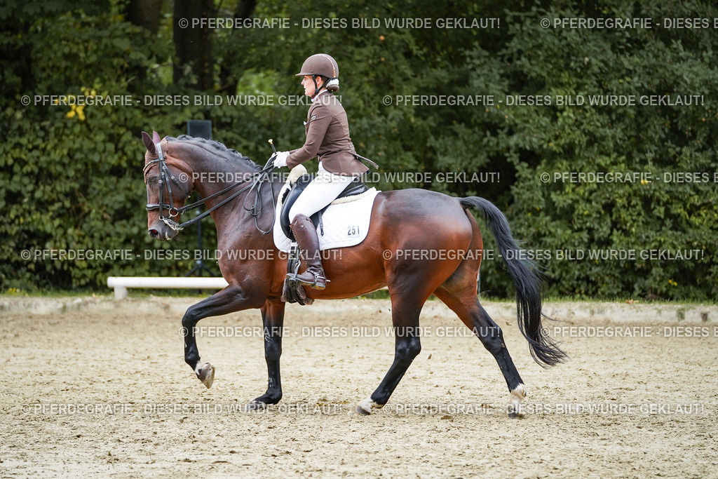 DSC01092 | Pferdegrafie