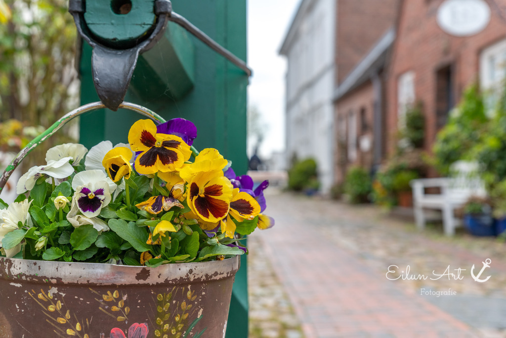 EAF_1617 | Eilun-Art-Fotografie Levke Martens, ihre Fotografin für Immobilien- und Landschaftsfotografie auf Föhr, Föhrer Motive als Poster, Leinwand, hinter Acrylglas oder stelle dir deinen eigenen Monatskalender zusammen, mit nur einem Klick
