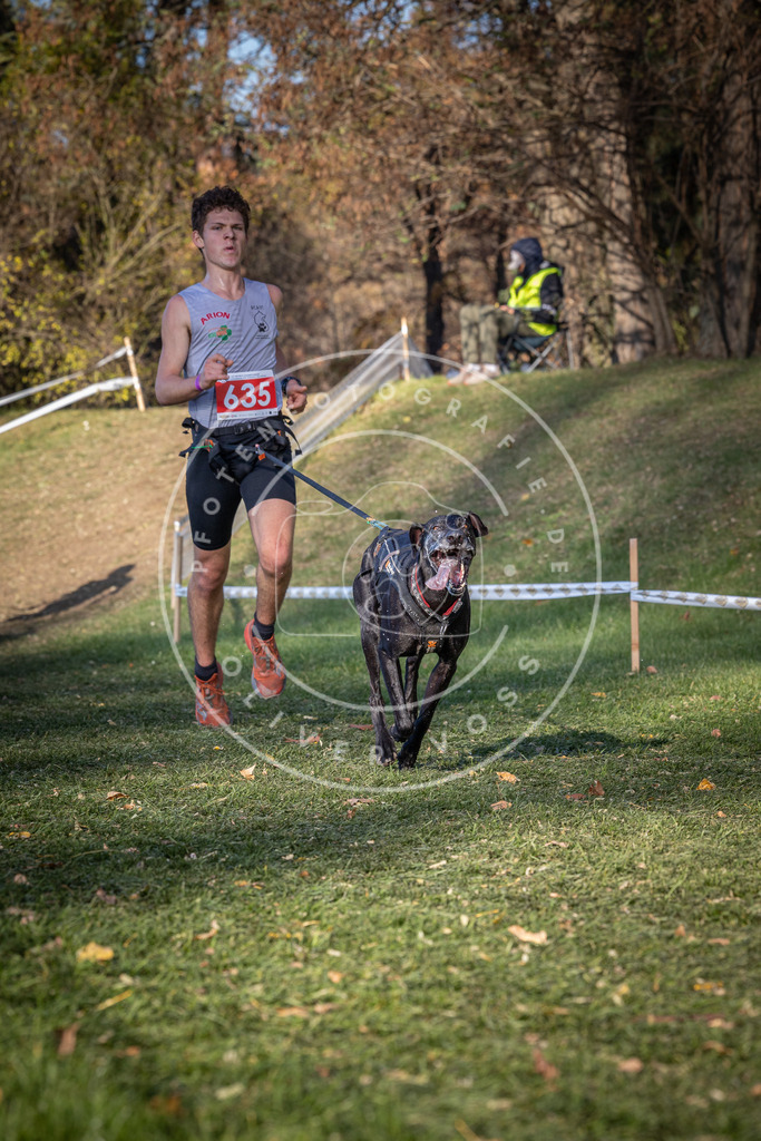 CaniXpix_0L8A8917 | Hundefotografie, Tierfotograf, Pfotenfotografie, Fotoshooting Hund, Hunde Portrait, Hundesport, Hundeportraits, Heideshooting, Hunde, Sportfotograf, Hundefotograf, Turnierhundsport, THS,  - Realisiert mit Pictrs.com