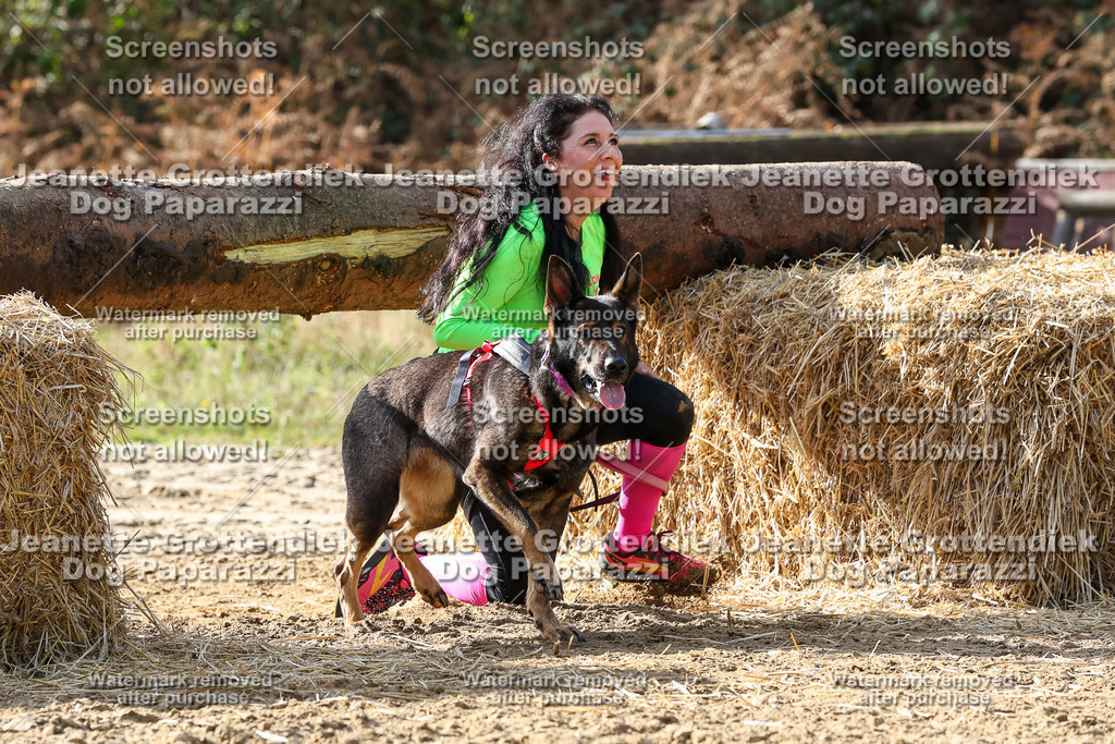 Dog Paparazzi - Strongdog 10-25-5870 | Dog Paparazzi Jeanette Grottendiek Fotografie & Videografie - Realisiert mit Pictrs.com
